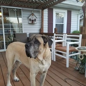 Meet your Posher, Kim